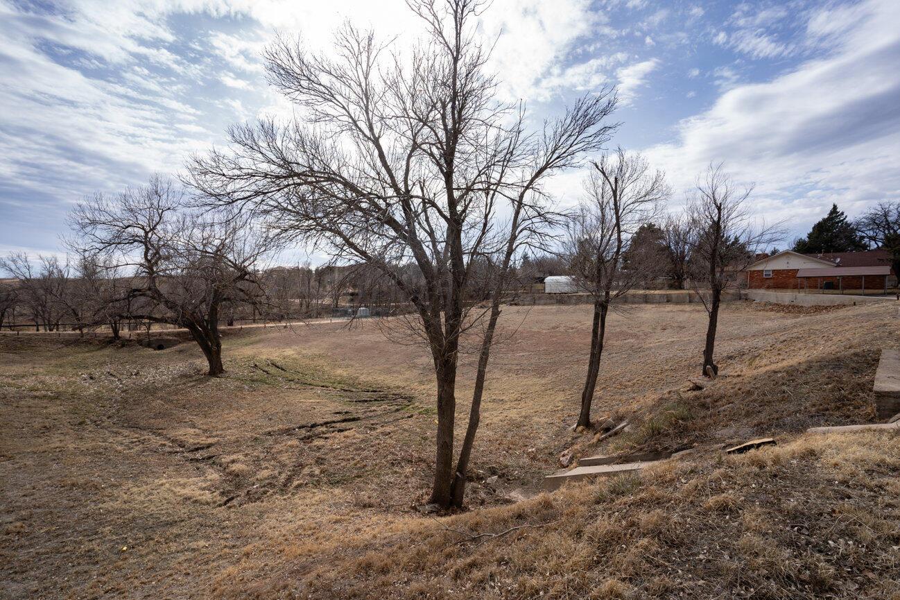 0 Primrose Lane Borger, TX 79007 - Photo 9 of 10 a view of a covered with snow in the forest
