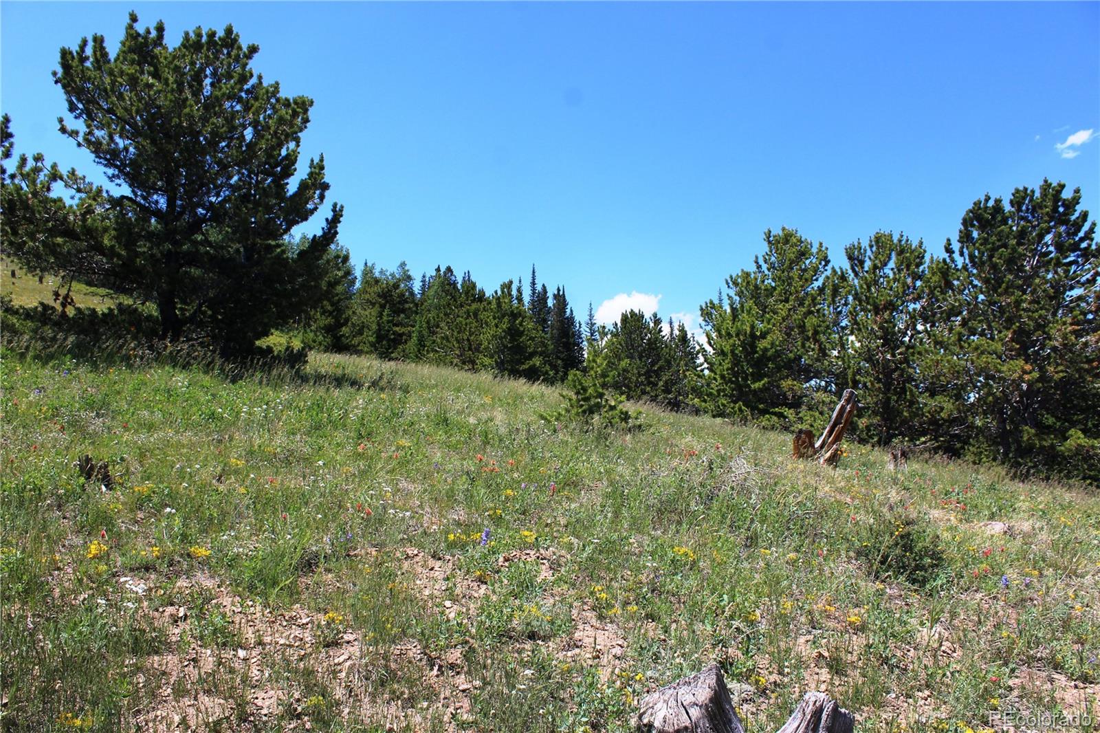 1595 Missouri Gulch Road Black Hawk, CO 80422 - Photo 19 of 49