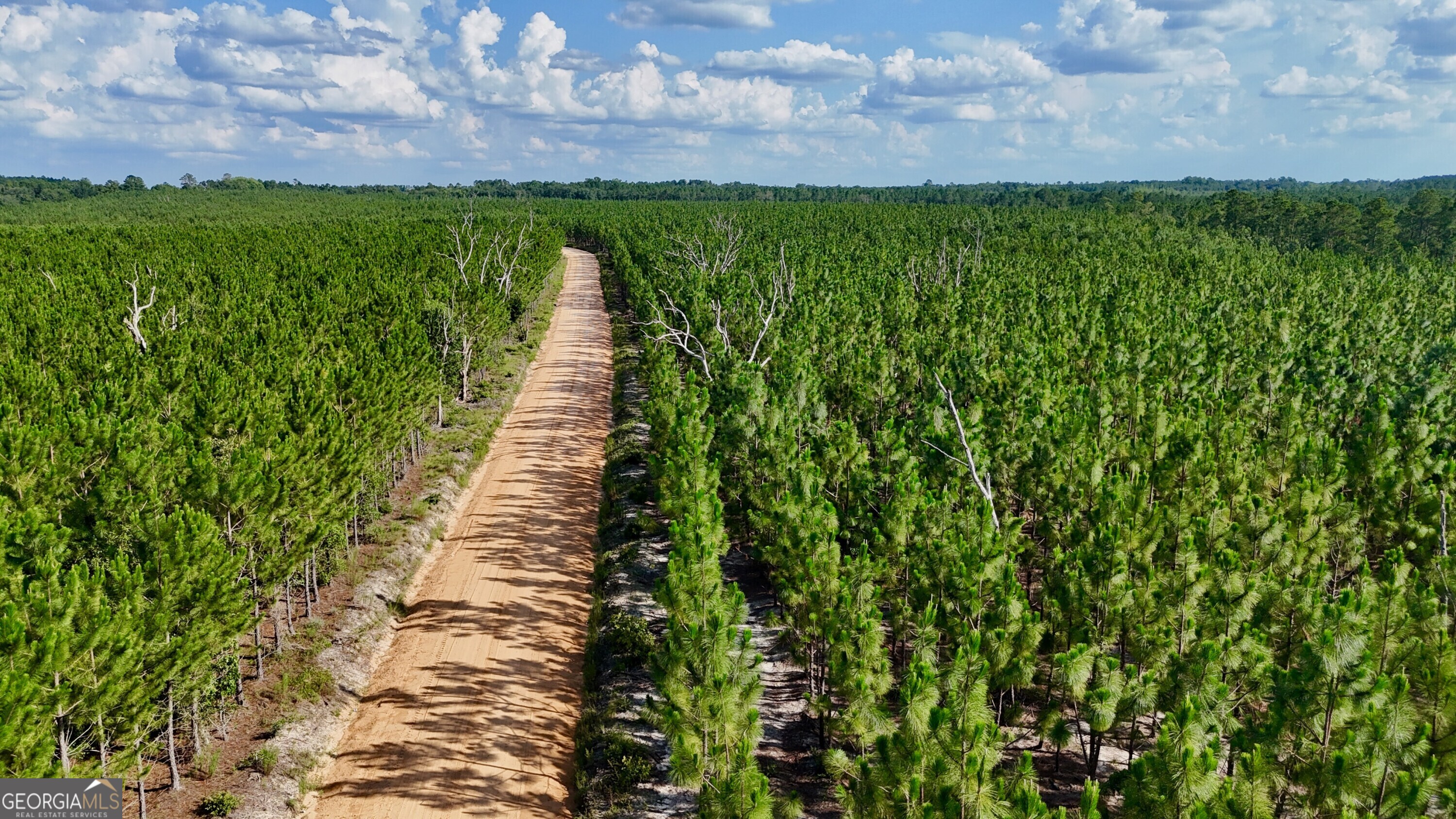7 Penny Morris Road Baxley, GA 31513 - Photo 3 of 3 a view of a pathway both side of grassy field with shrub
