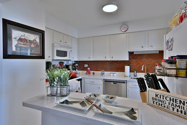 $253,000 | 190 South Wood Dale Road, Unit 902, Wood Dale, IL 60191