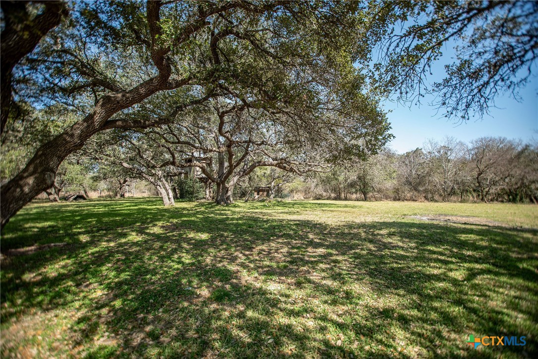 303 Garcitas Grove Road Inez, TX 77968 - Photo 33 of 39 a view of outdoor space with deck and trees