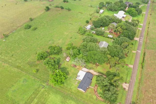 a view of a garden with plants