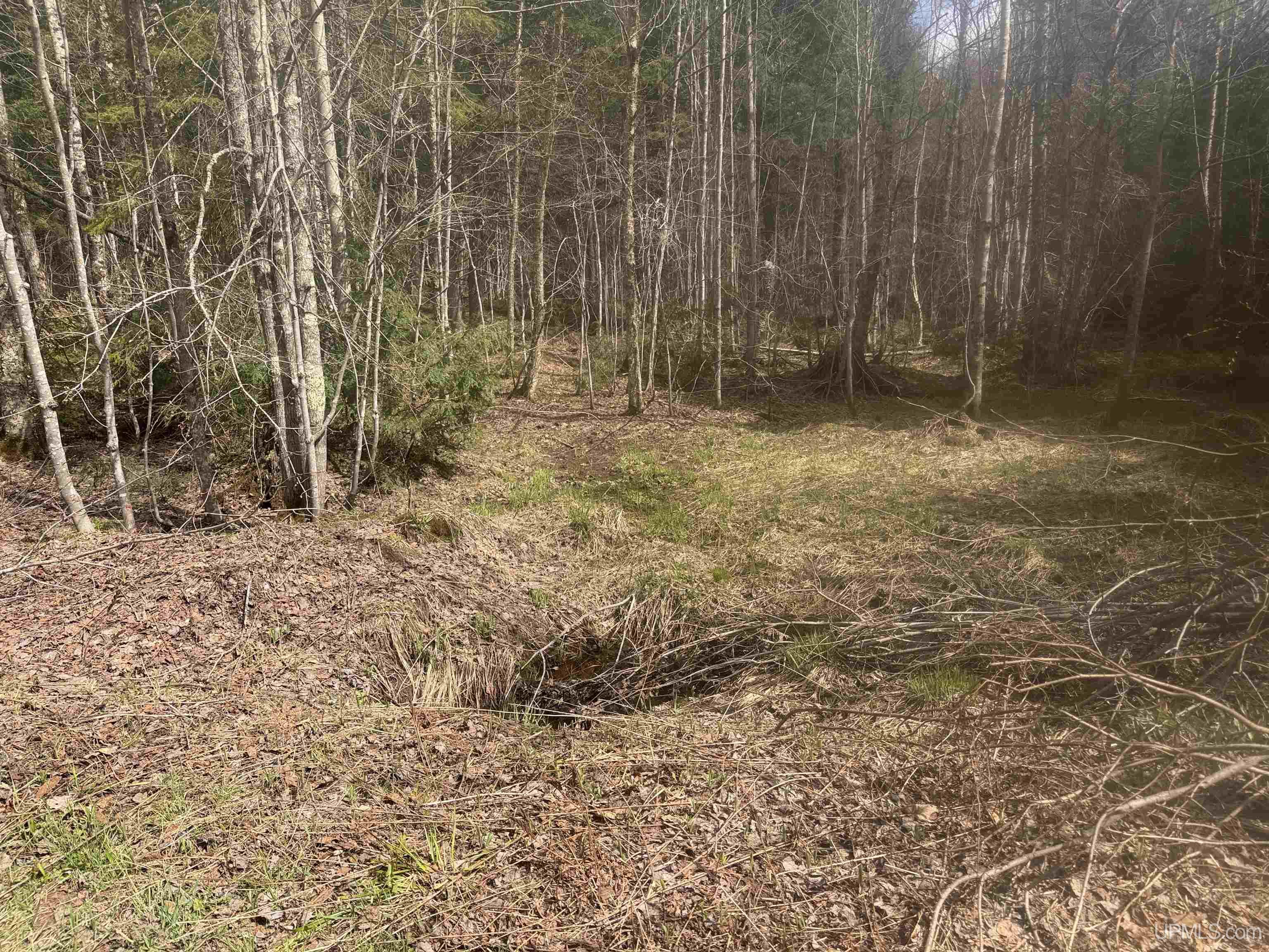 Off Black River Road Ironwood, MI 49938 - Photo 10 of 31