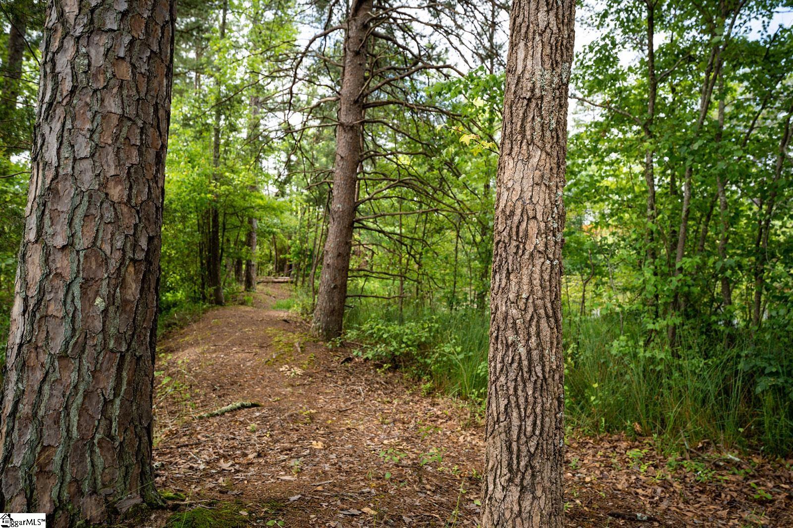 350 Nettle Lane Greenville, SC 29607 - Photo 29 of 34