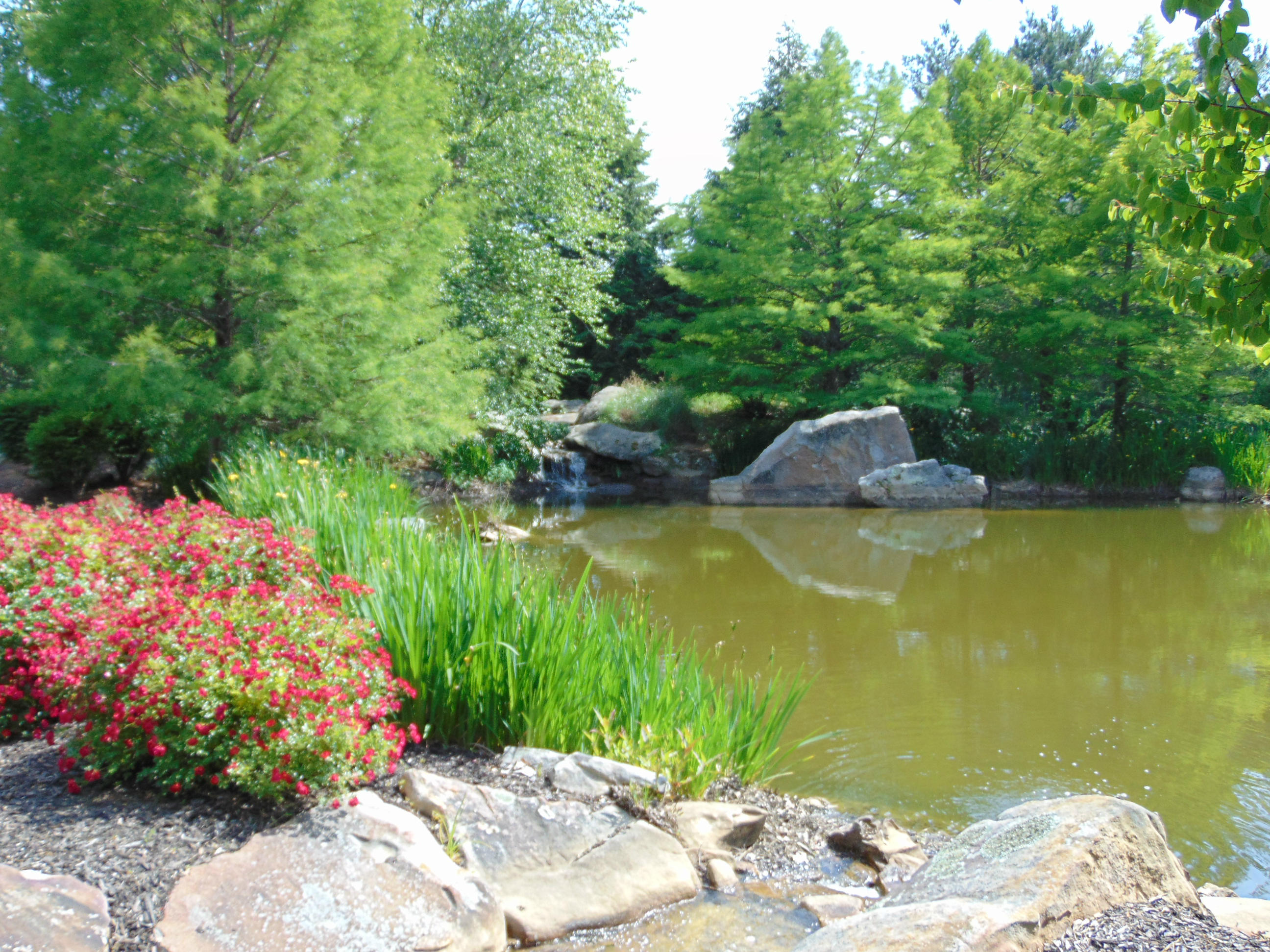 4 Fairview Drive Rising Fawn, GA 30738 - Photo 19 of 34 Entrance pond