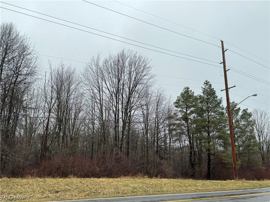 2 Bates Road Madison, OH 44057 - Photo 4 of 23