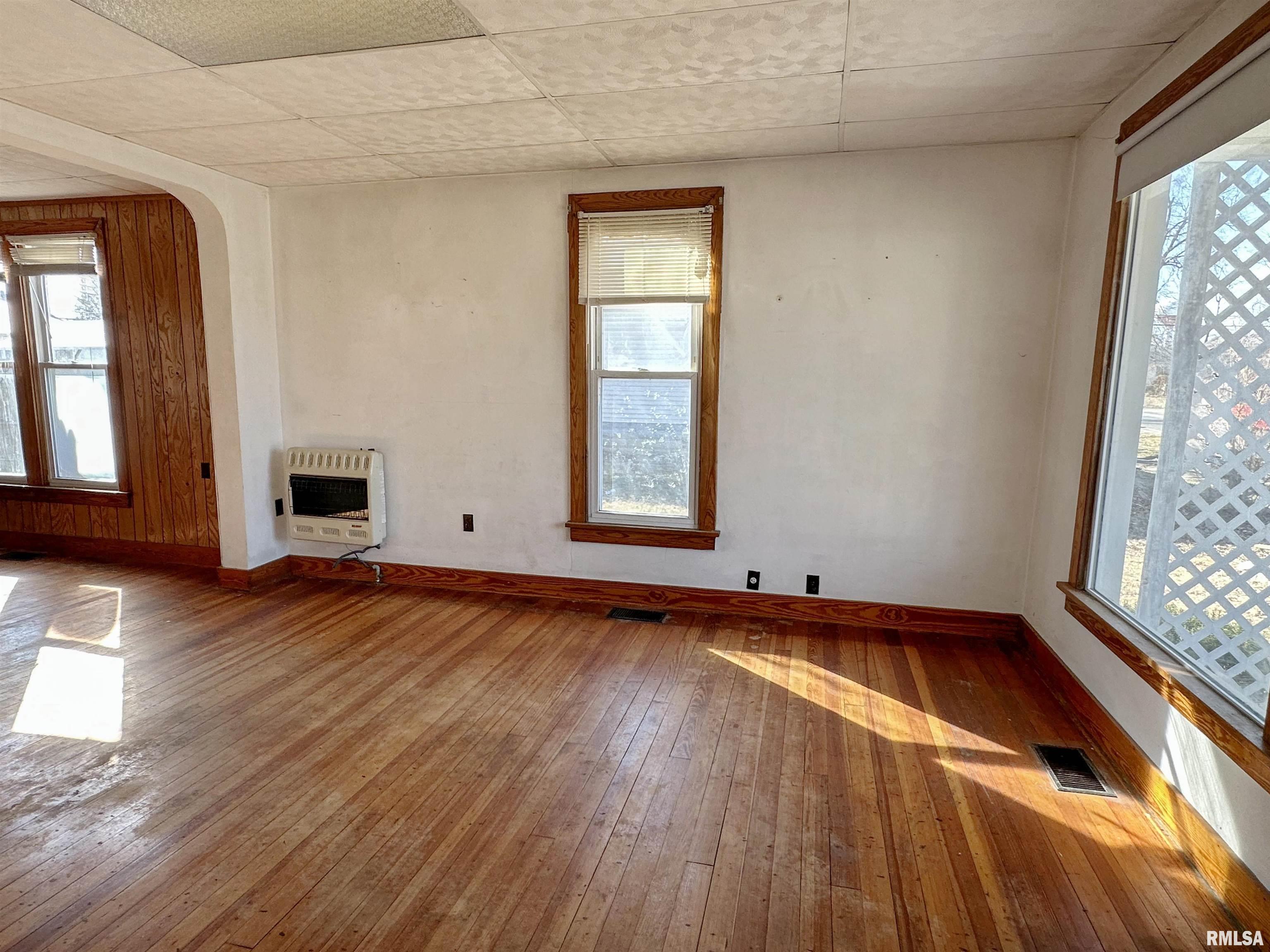 114 East Rowe Street Roodhouse, IL 62082 - Photo 3 of 19