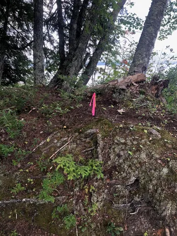 $985,000 | 6 Swett Brook Lane, Weld, ME 04285