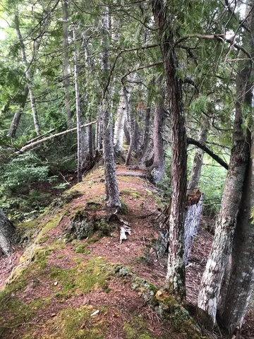 $985,000 | 6 Swett Brook Lane, Weld, ME 04285