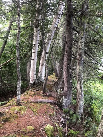 $985,000 | 6 Swett Brook Lane, Weld, ME 04285