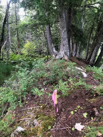 $985,000 | 6 Swett Brook Lane, Weld, ME 04285