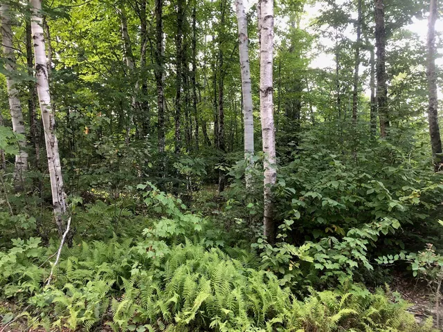 $985,000 | 6 Swett Brook Lane, Weld, ME 04285