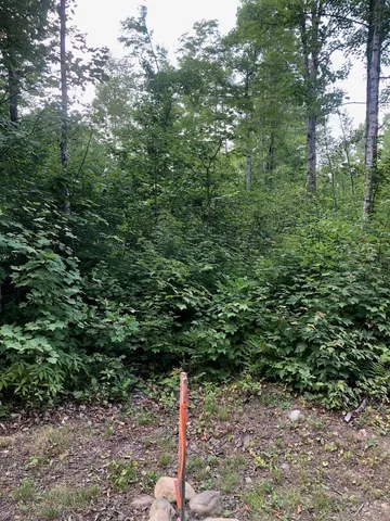 $985,000 | 6 Swett Brook Lane, Weld, ME 04285