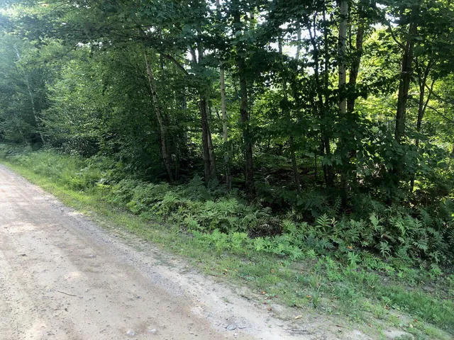 $985,000 | 6 Swett Brook Lane, Weld, ME 04285