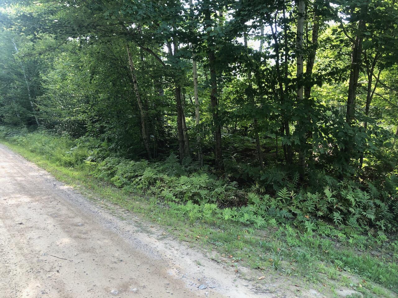 6 Swett Brook Lane Weld, ME 04285 - Photo 30 of 65 IMG_7696