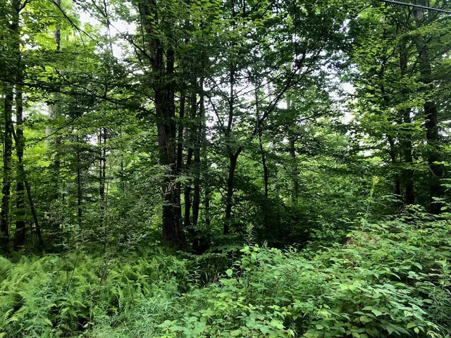 $985,000 | 6 Swett Brook Lane, Weld, ME 04285