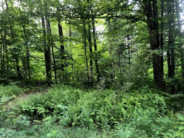 $985,000 | 6 Swett Brook Lane, Weld, ME 04285