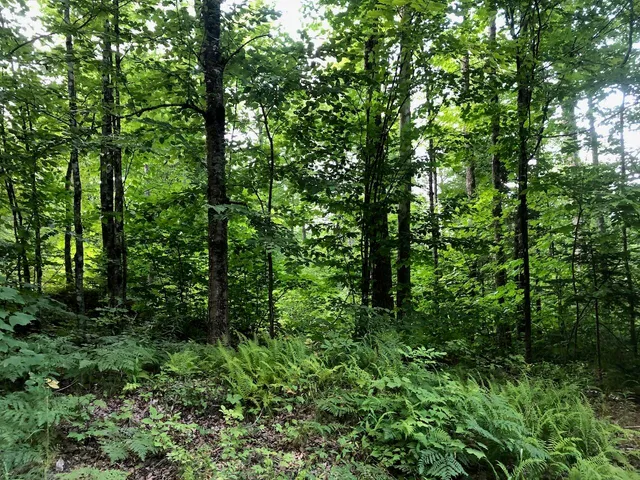 $985,000 | 6 Swett Brook Lane, Weld, ME 04285