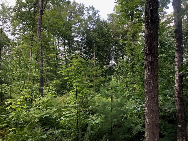 $985,000 | 6 Swett Brook Lane, Weld, ME 04285