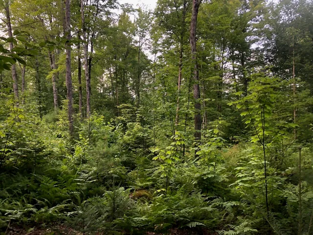 $985,000 | 6 Swett Brook Lane, Weld, ME 04285