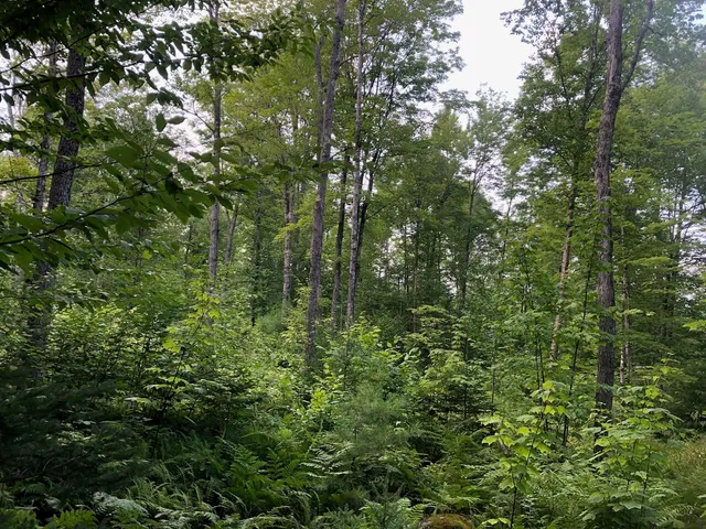 $985,000 | 6 Swett Brook Lane, Weld, ME 04285