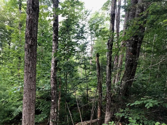 $985,000 | 6 Swett Brook Lane, Weld, ME 04285