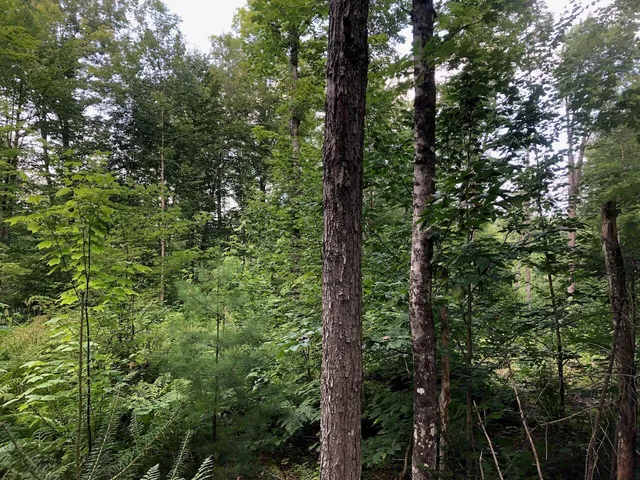 $985,000 | 6 Swett Brook Lane, Weld, ME 04285