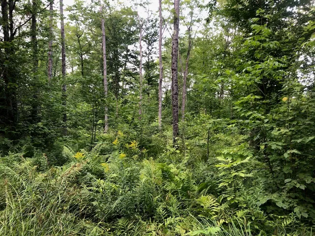 $985,000 | 6 Swett Brook Lane, Weld, ME 04285