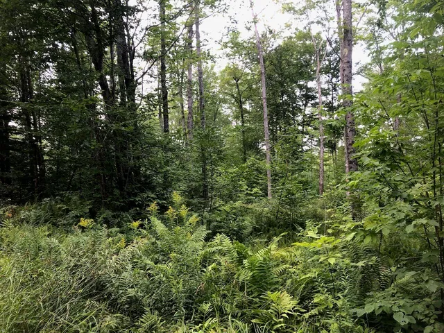 $985,000 | 6 Swett Brook Lane, Weld, ME 04285