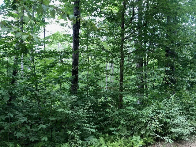 $985,000 | 6 Swett Brook Lane, Weld, ME 04285