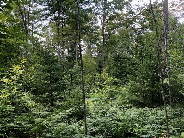 $985,000 | 6 Swett Brook Lane, Weld, ME 04285