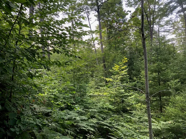 $985,000 | 6 Swett Brook Lane, Weld, ME 04285