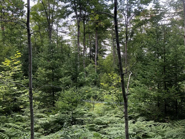 $985,000 | 6 Swett Brook Lane, Weld, ME 04285