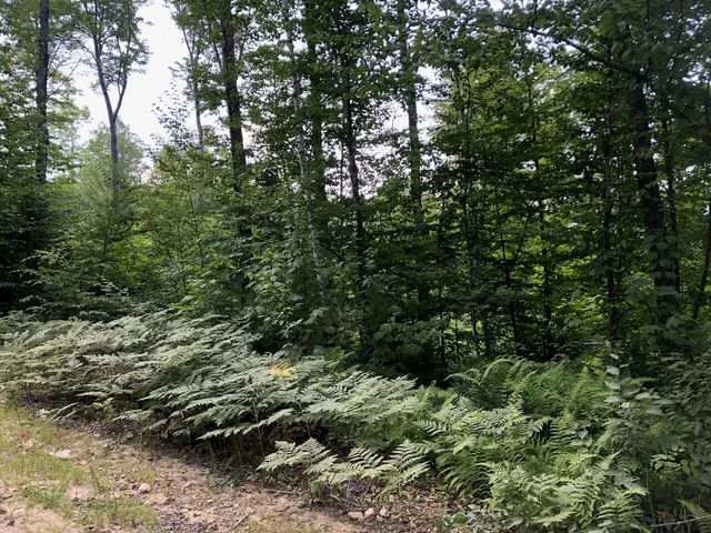 $985,000 | 6 Swett Brook Lane, Weld, ME 04285