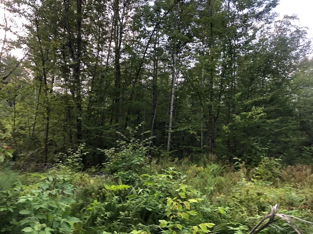 $985,000 | 6 Swett Brook Lane, Weld, ME 04285