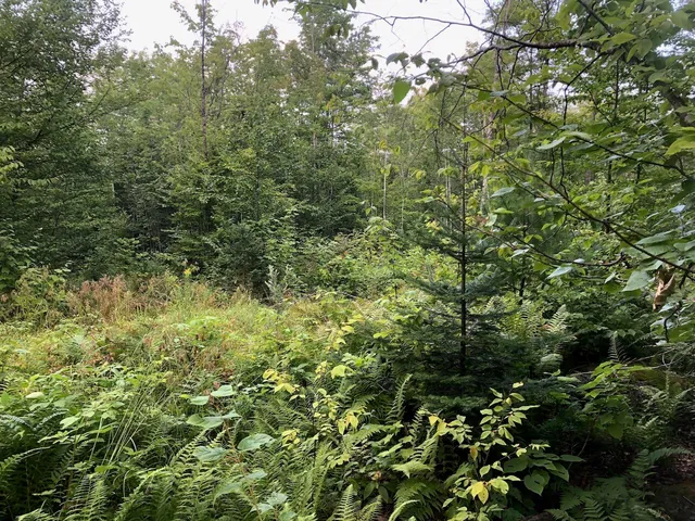 $985,000 | 6 Swett Brook Lane, Weld, ME 04285