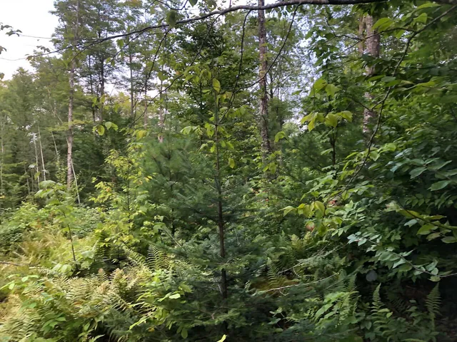 $985,000 | 6 Swett Brook Lane, Weld, ME 04285