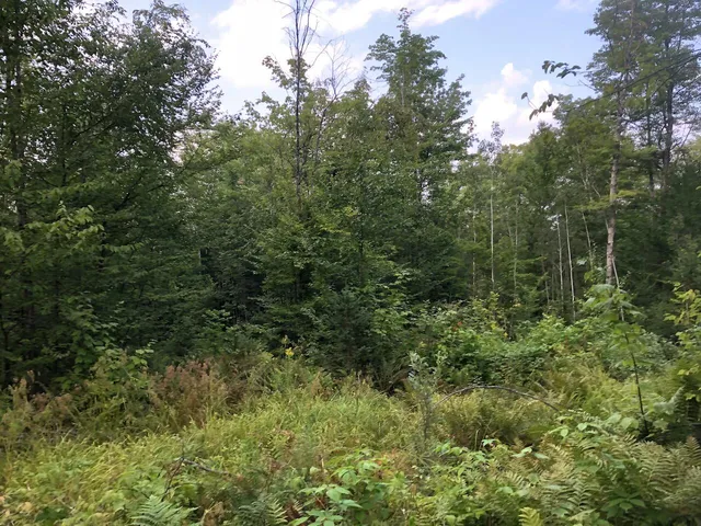 $985,000 | 6 Swett Brook Lane, Weld, ME 04285