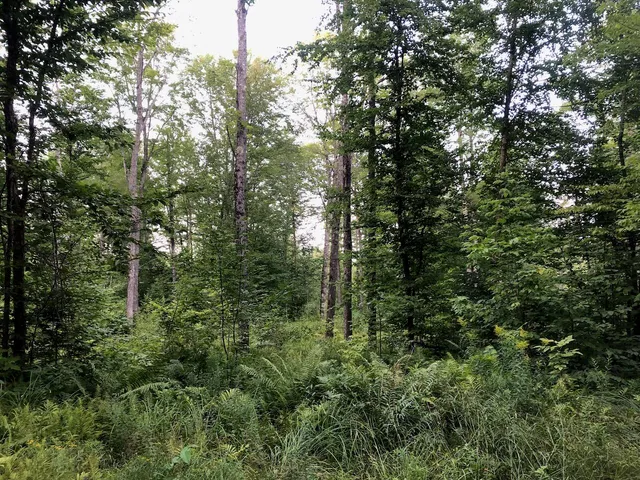 $985,000 | 6 Swett Brook Lane, Weld, ME 04285