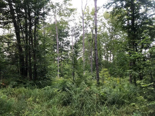 $985,000 | 6 Swett Brook Lane, Weld, ME 04285