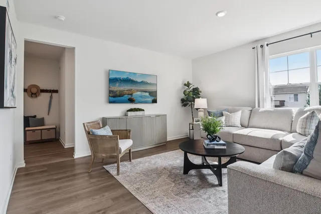 a living room with furniture and a rug
