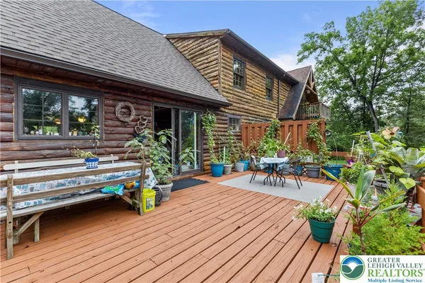 a view of a yard with plants