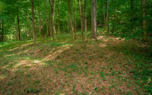 $159,000 | 1754 Oakbrook Trail, Ooltewah, TN 37363