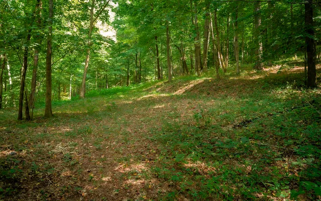 $159,000 | 1754 Oakbrook Trail, Ooltewah, TN 37363