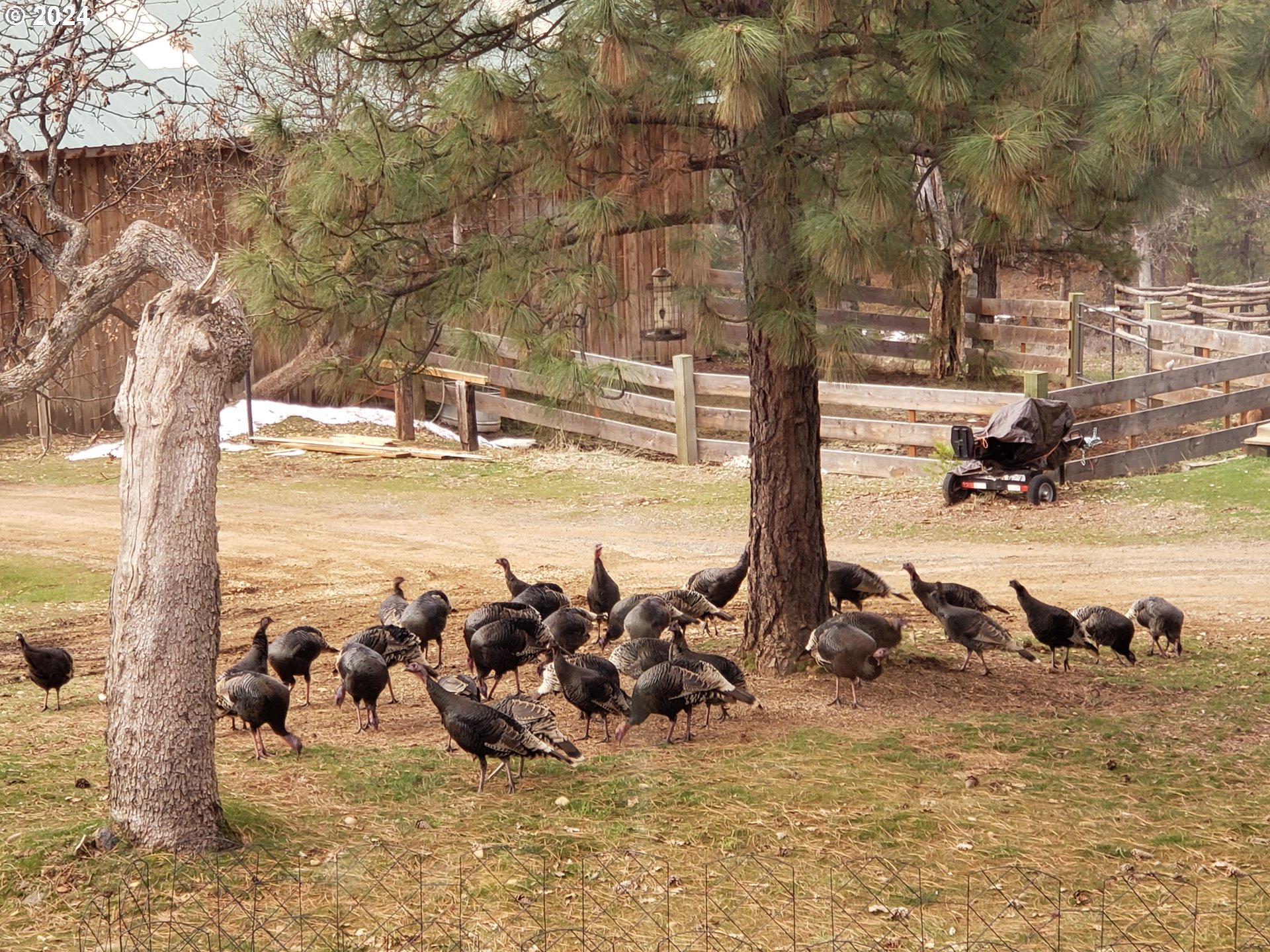 11 Deer Ridge Road Goldendale, WA 98620 - Photo 43 of 45