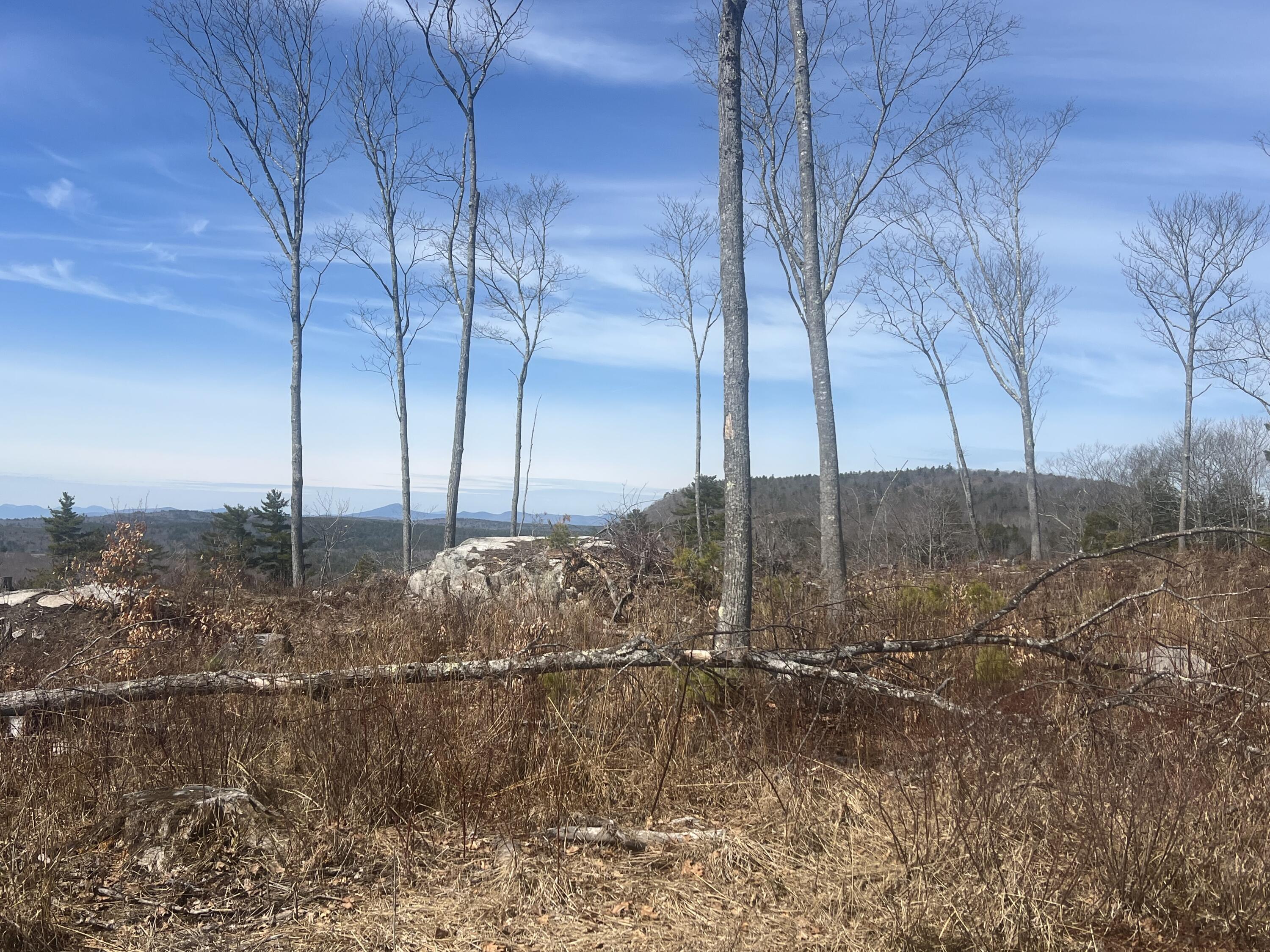 Tbd Deer Hill Road Harrison, ME 04040 - Photo 14 of 14 IMG_0302