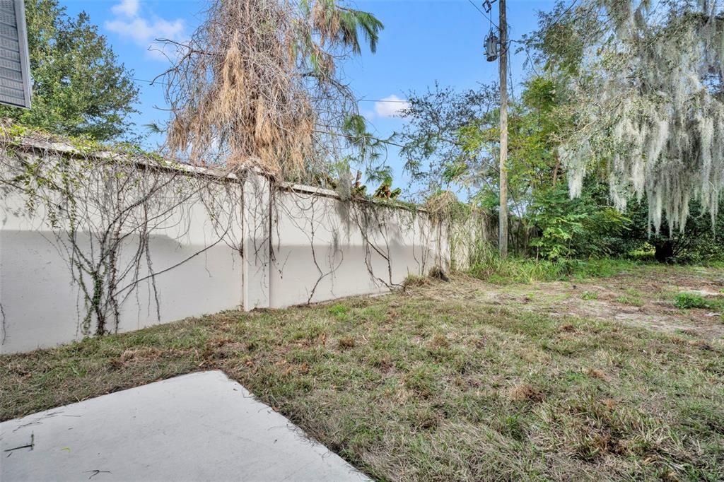 31201 Merry Road Tavares, FL 32778 - Photo 38 of 40 a backyard of a house with lots of green space