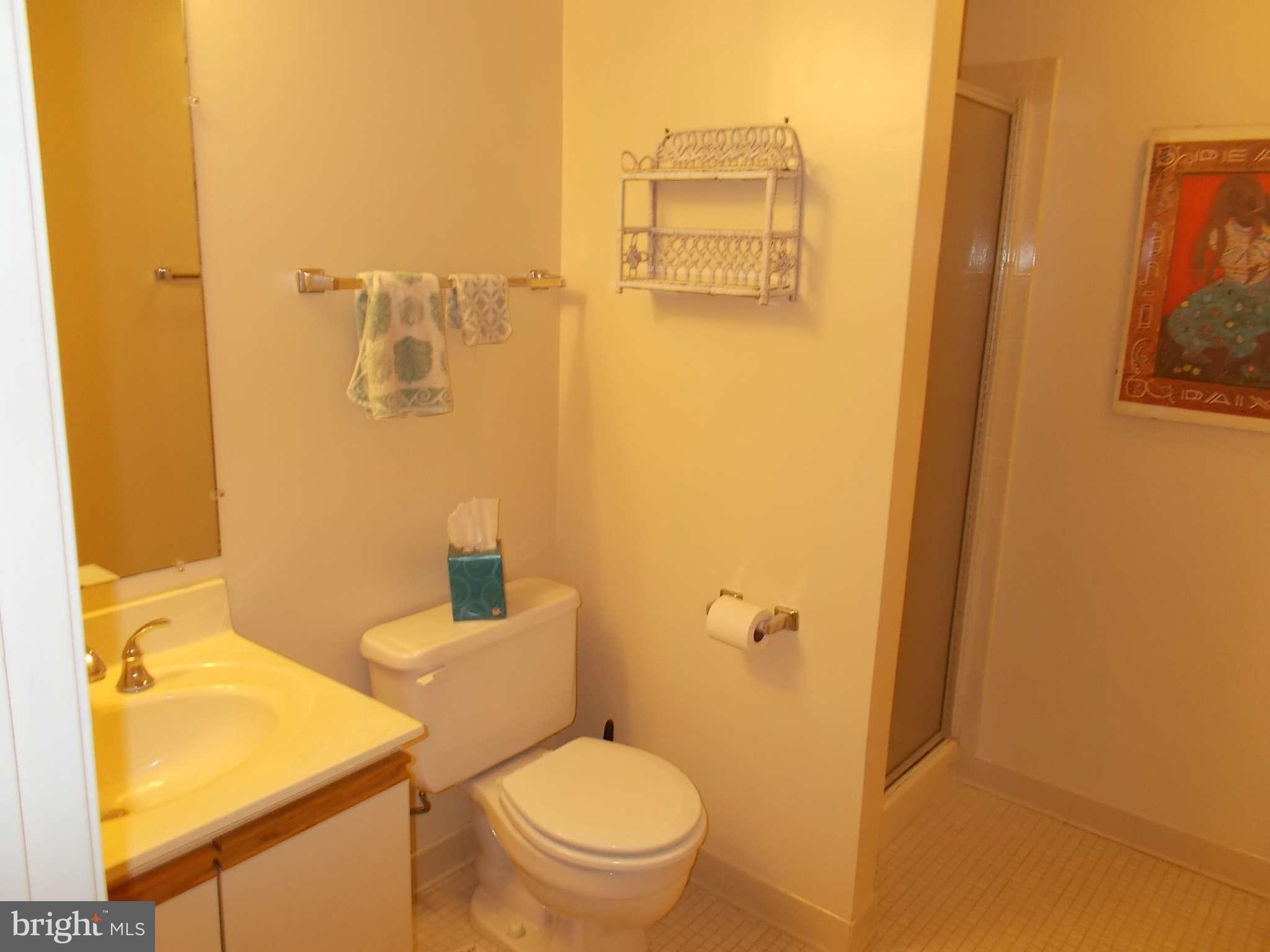 2107 Derby Ridge Lane, Unit 27 Silver Spring, MD 20910 - Photo 15 of 20 Bath