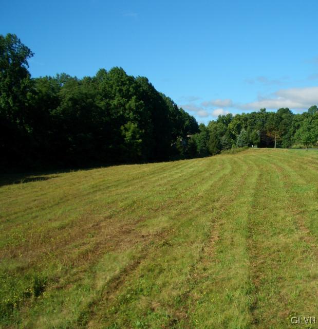 40 Frys Run Road Easton, PA 18042 - Photo 3 of 4 a view of a field with an outdoor space