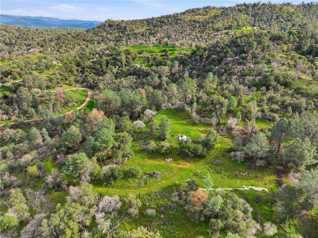 0 Lookout Mountain Road Mariposa, CA 95338 - Photo 11 of 25 a view of a big yard with lots of green space and mountain view